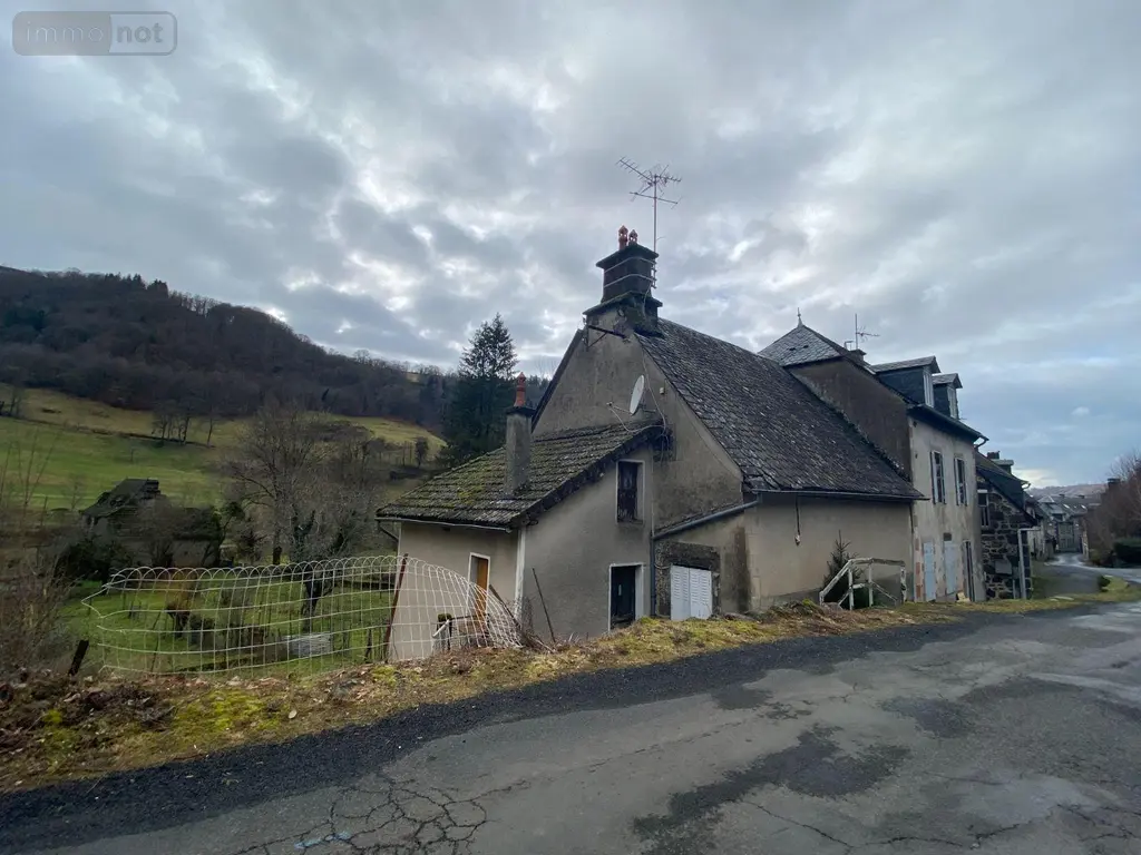 Maison a vendre Fontanges 15140 Cantal 15 90 m2 53000 euros 15060/1121 002