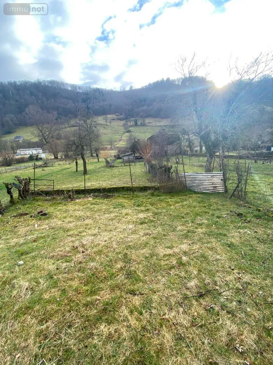 Maison a vendre Fontanges 15140 Cantal 15 90 m2 53000 euros 15060/1121 003