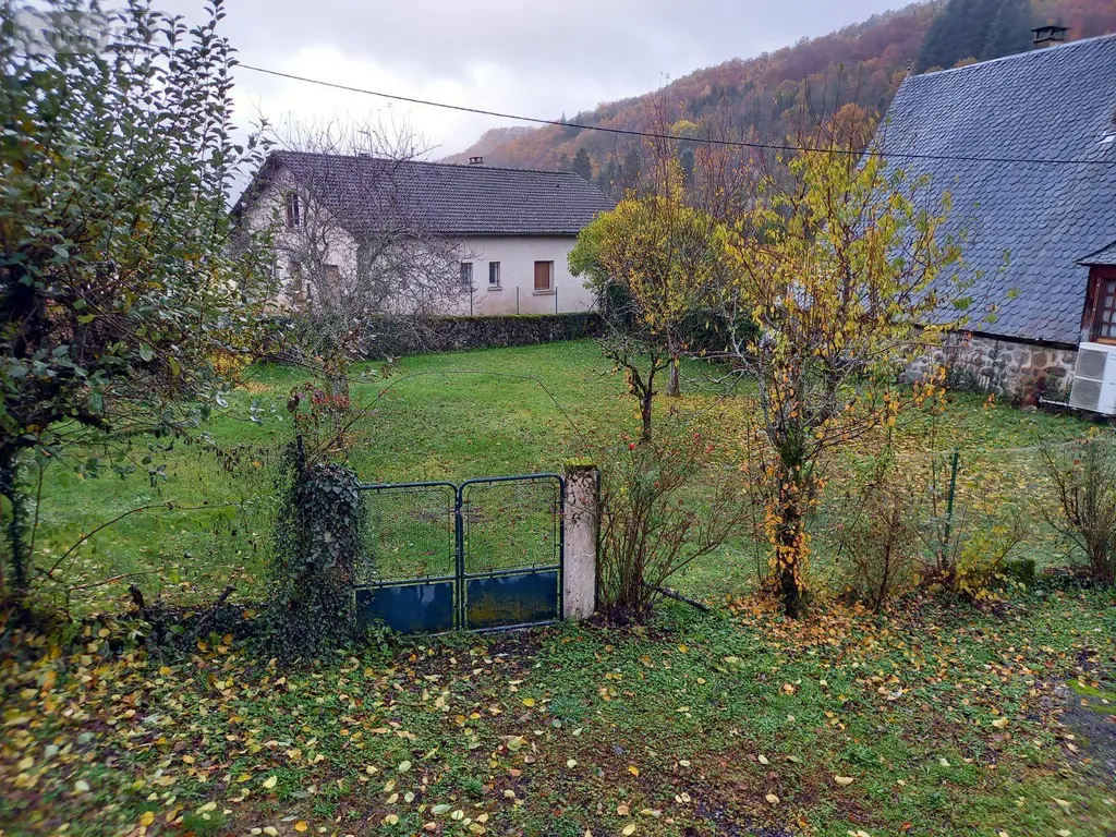 Viager maison Polminhac 15800 Cantal 15 130 m2 30000 euros MG/2135 013