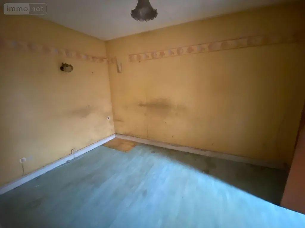 Maison a vendre Ally 15700 Cantal 15 90 m2 37100 euros 15060/1122 006