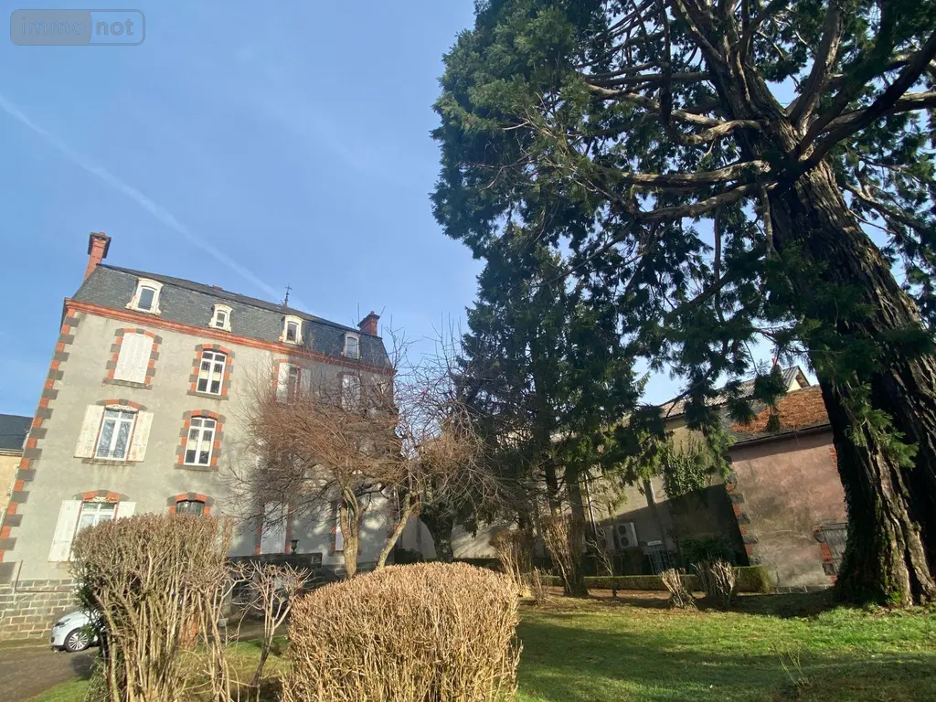 Immeuble de rapport a vendre Mauriac 15200 Cantal 15 307400 euros 15060/1124 002