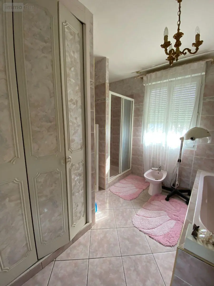 Maison a vendre Villedieu-sur-Indre 36320 Indre 36 200 m2 7 pièces 149600 euros 1048793 018