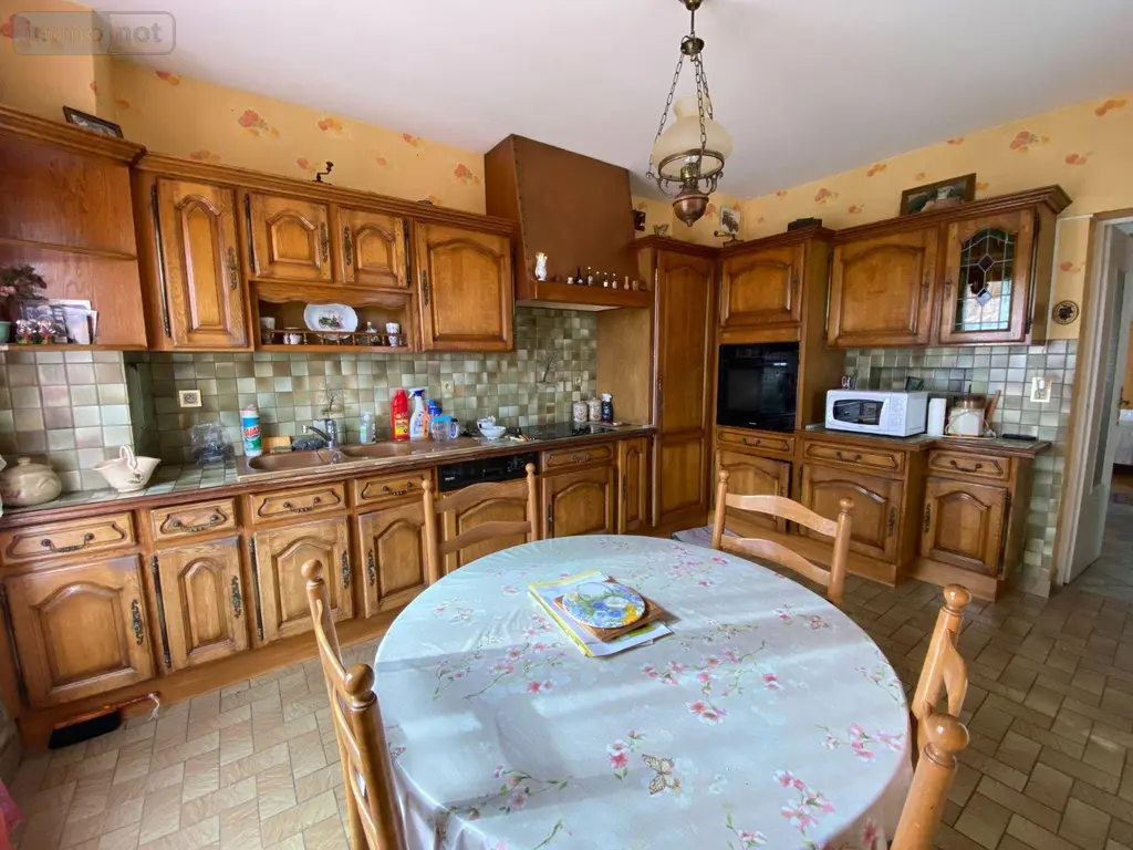Maison a vendre Villedieu-sur-Indre 36320 Indre 36 200 m2 7 pièces 149600 euros 1048793 009