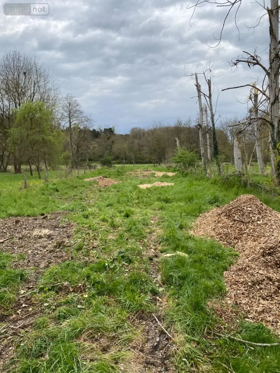 Terrains de loisirs bois etangs a vendre Bossay-sur-Claise 37290 Indre-et-Loire 37 5000 euros 1040791 001