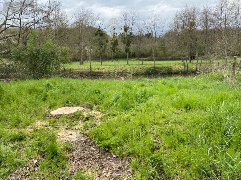 Terrains de loisirs bois etangs a vendre Bossay-sur-Claise 37290 Indre-et-Loire 37 5000 euros 1040791 002