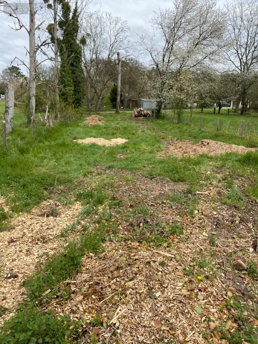 Terrains de loisirs bois etangs a vendre Bossay-sur-Claise 37290 Indre-et-Loire 37 5000 euros 1040791 003