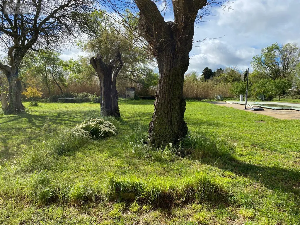 Maison a vendre Arles 13280 Bouches-du-Rhône 13 332 m2 8 pièces 1150000 euros 075/132 021