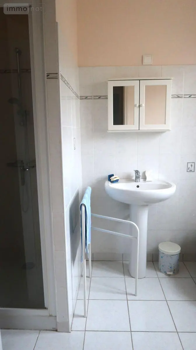 Maison a vendre Châtellerault 86100 Vienne 86 120 m2 6 pièces 241000 euros 86024-MAIS2279 008