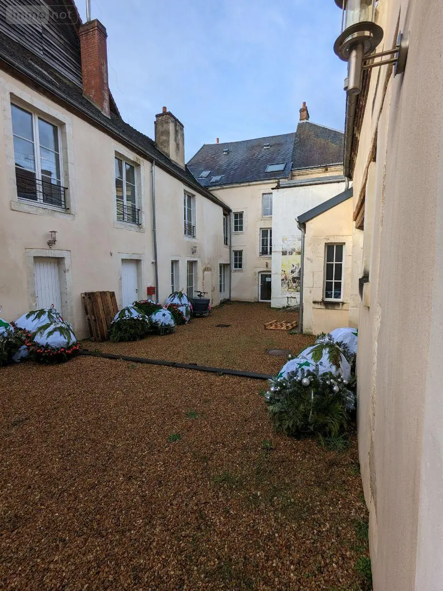 Location immeuble de rapport Nogent-le-Rotrou 28400 Eure-et-Loir 28 320 m2 12 pièces 3840 euros 14 VI 006