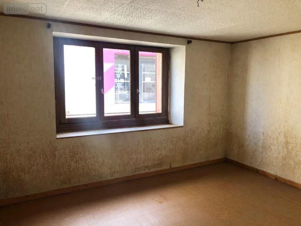 Maison a vendre Saint-Baudel 18160 Cher 18 64 m2 2 pièces 18000 euros 11813/1323 003