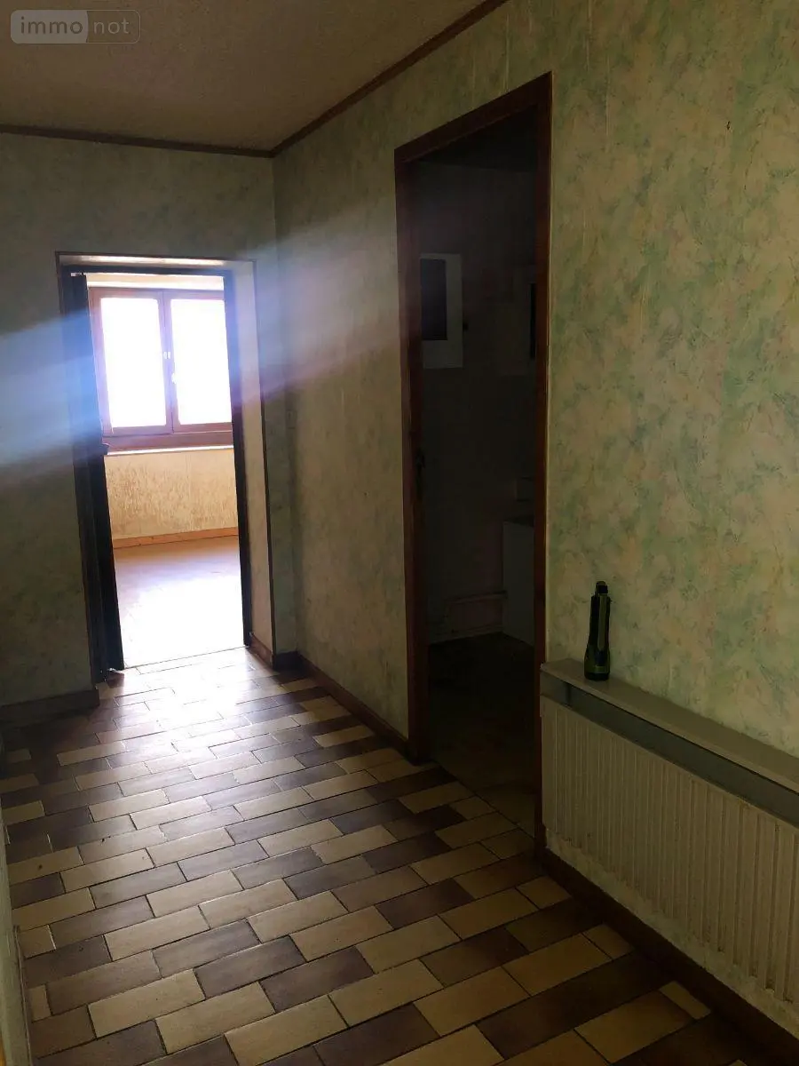 Maison a vendre Saint-Baudel 18160 Cher 18 64 m2 2 pièces 18000 euros 11813/1323 012