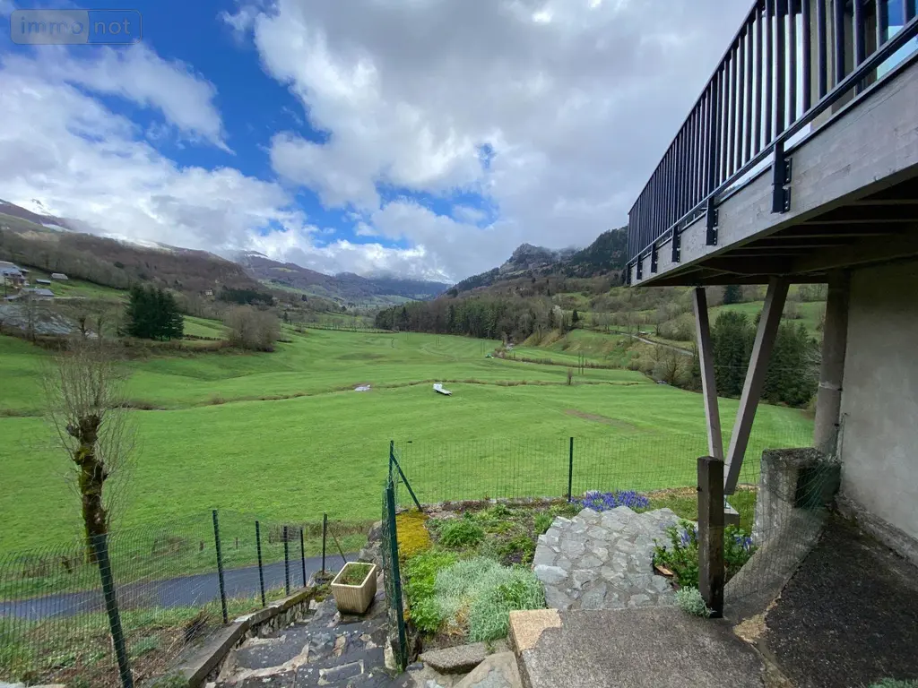 Fonds et murs commerciaux a vendre Le Falgoux 15380 Cantal 15 660000 euros 15060/1136 014