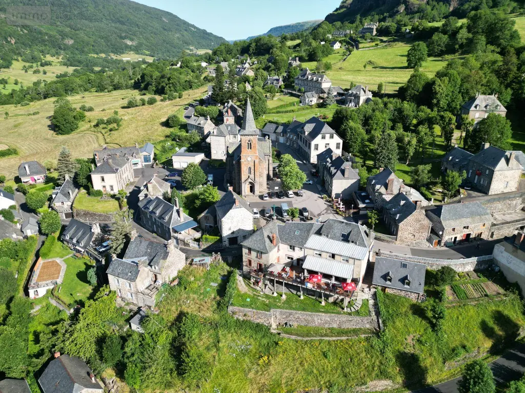 Fonds et murs commerciaux a vendre Le Falgoux 15380 Cantal 15 660000 euros 15060/1136 002