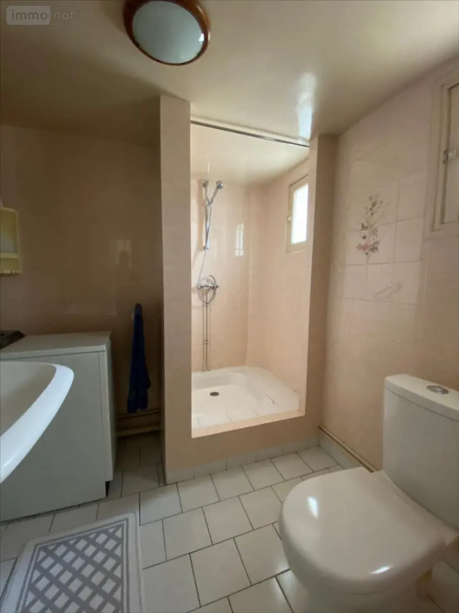 Immeuble de rapport a vendre Beaumont-le-Roger 27170 Eure 27 190 m2 251100 euros 27046-1017258 013