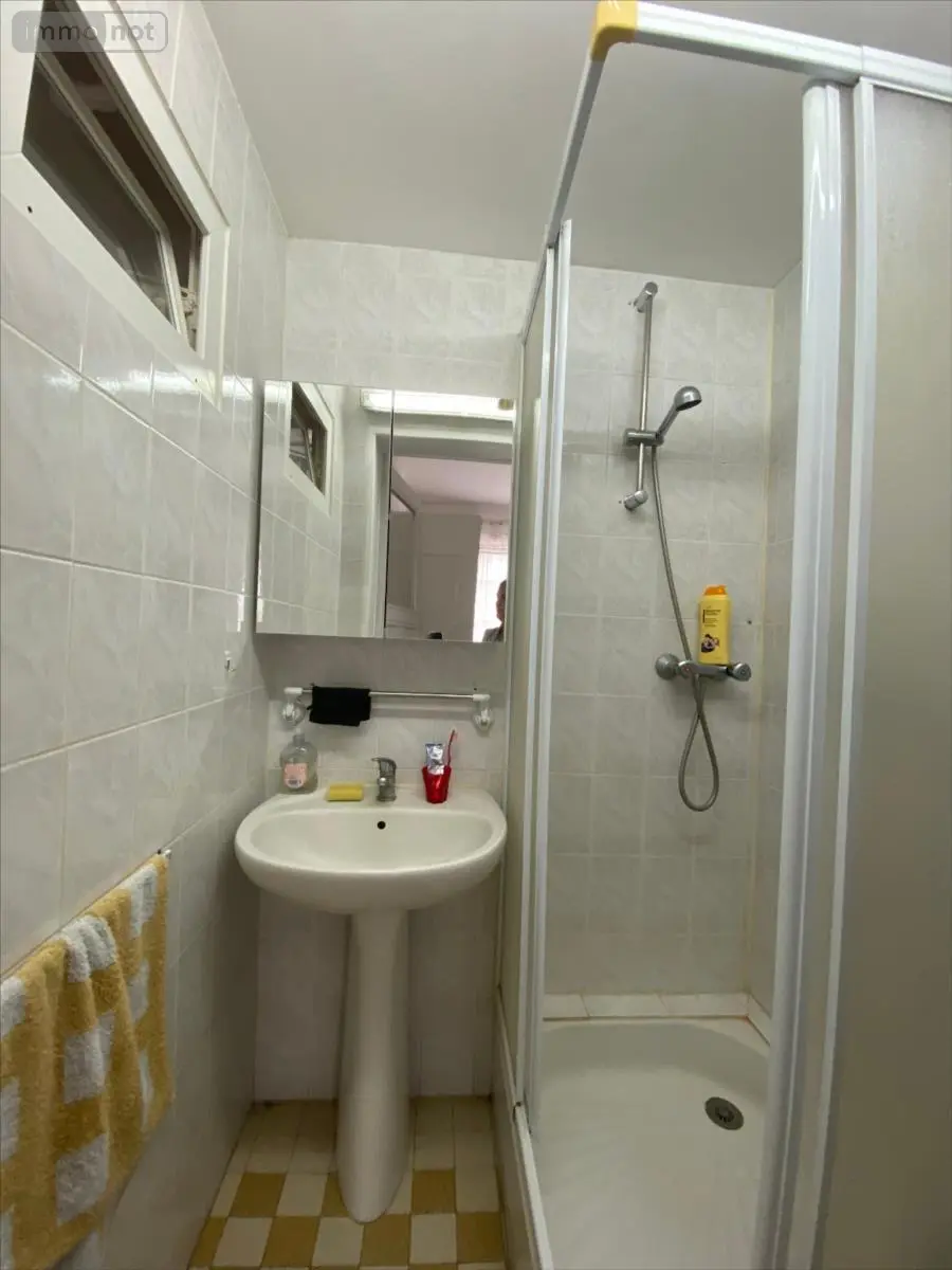 Immeuble de rapport a vendre Beaumont-le-Roger 27170 Eure 27 190 m2 251100 euros 27046-1017258 008