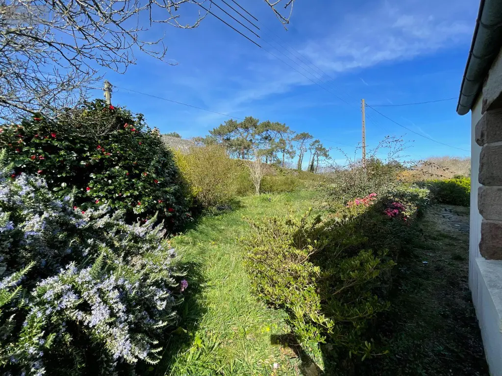 Maison a vendre Plougasnou 29630 Finistère 29 106 m2 6 pièces 345000 euros CODI 020