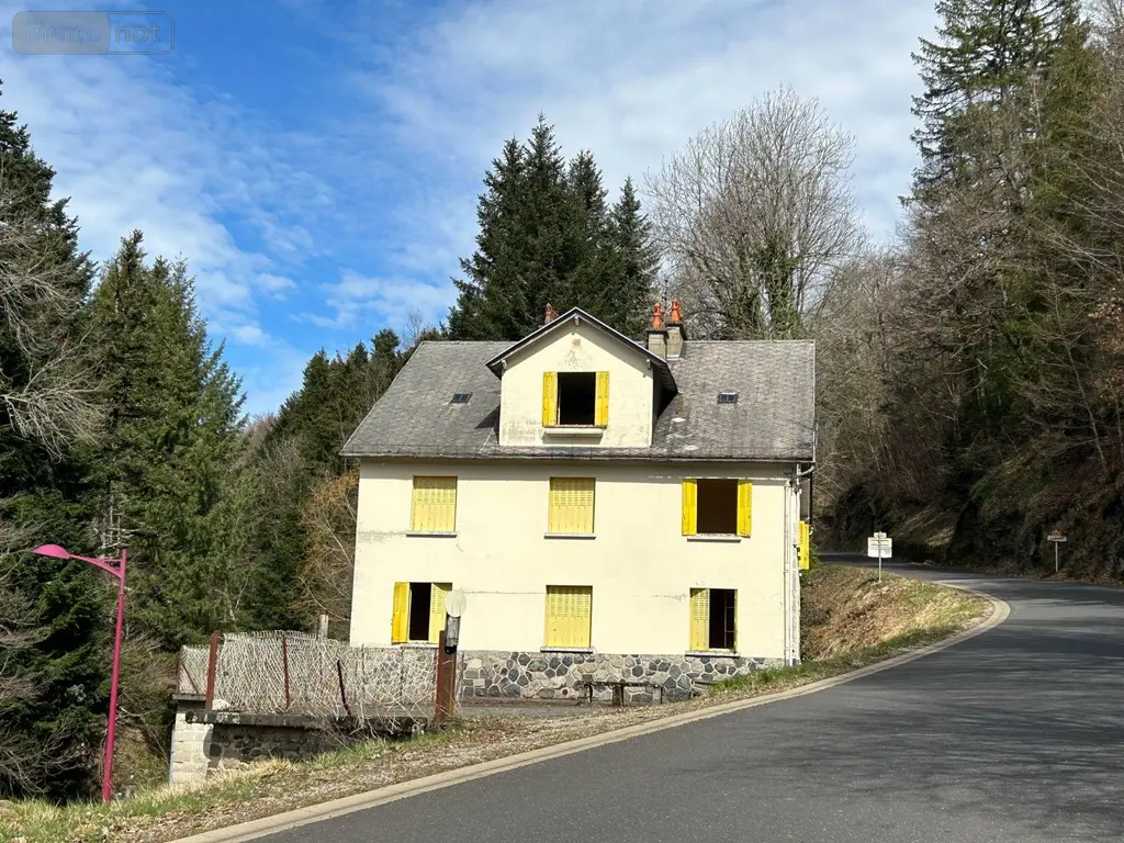 Immeuble de rapport a vendre Condat 15190 Cantal 15 344 m2 28000 euros FG/2186 001