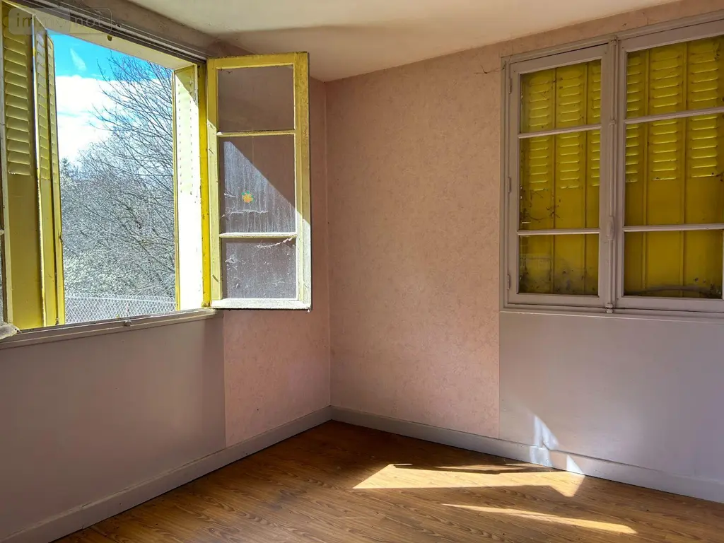 Immeuble de rapport a vendre Condat 15190 Cantal 15 344 m2 28000 euros FG/2186 005