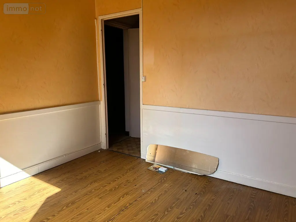 Immeuble de rapport a vendre Condat 15190 Cantal 15 344 m2 28000 euros FG/2186 010