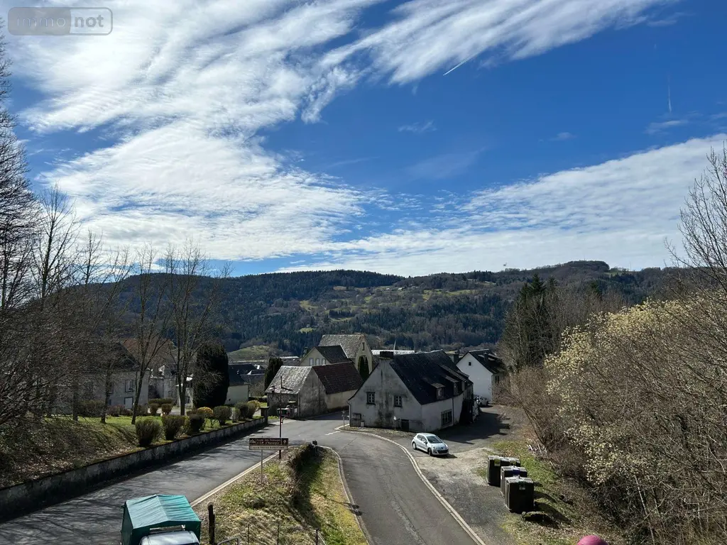 Immeuble de rapport a vendre Condat 15190 Cantal 15 344 m2 28000 euros FG/2186 002