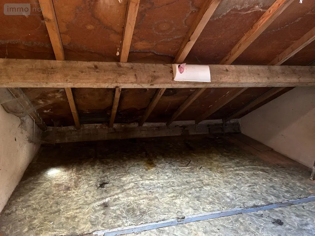 Immeuble de rapport a vendre Condat 15190 Cantal 15 344 m2 28000 euros FG/2186 026