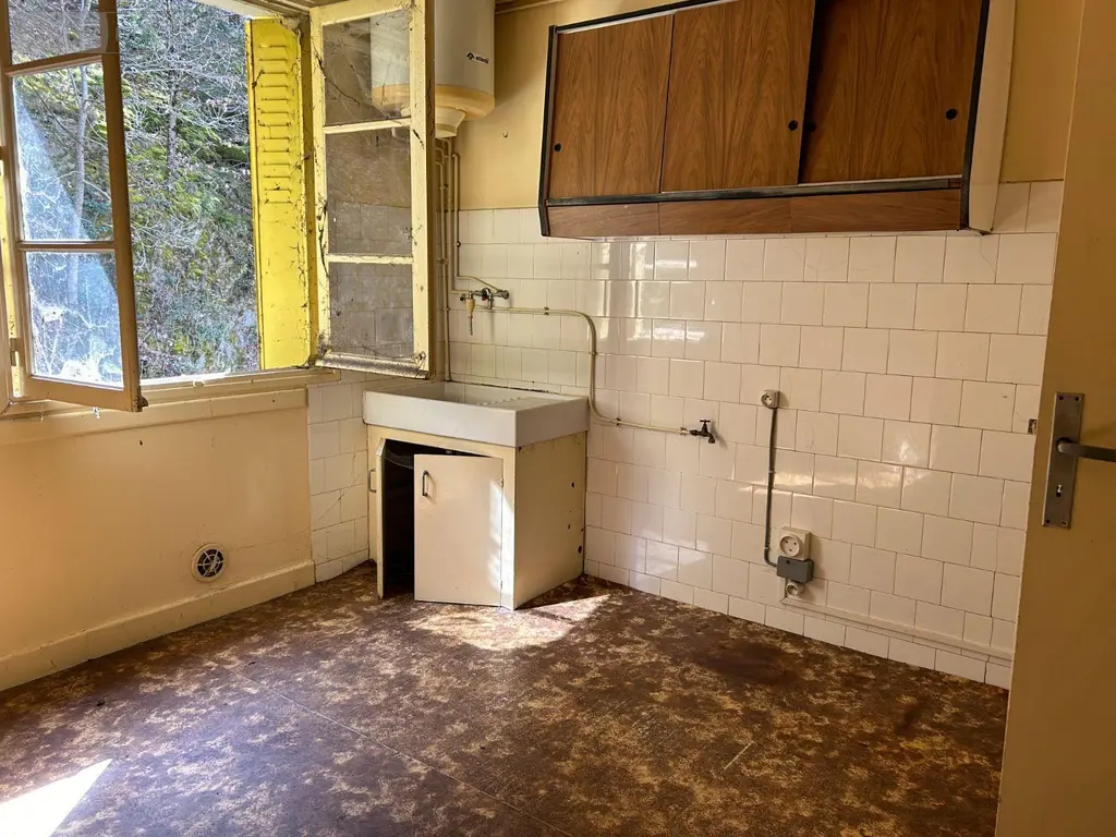 Immeuble de rapport a vendre Condat 15190 Cantal 15 344 m2 28000 euros FG/2186 031