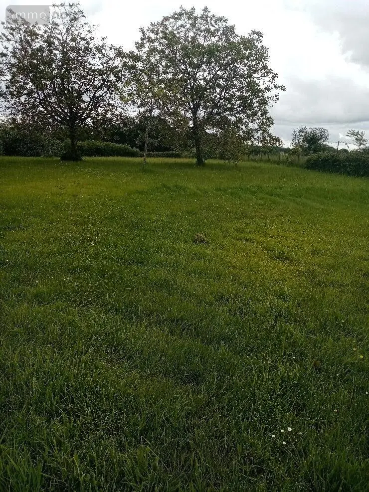 Terrain a batir a vendre Pellevoisin 36180 Indre 36 18000 euros 016/377 002