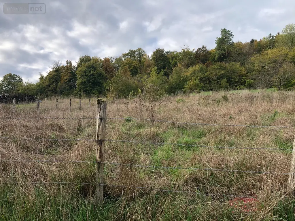 Terrain a batir a vendre Salmagne 55000 Meuse 55 14400 euros 816 001