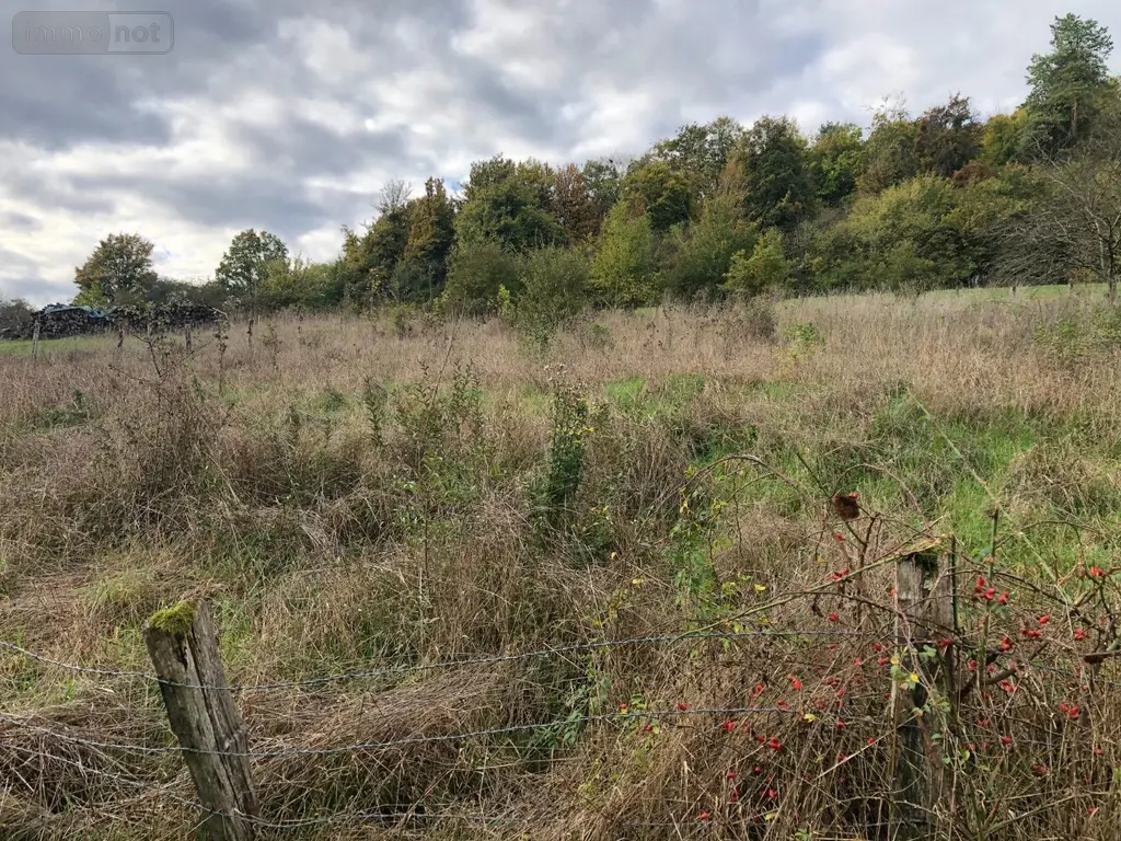 Terrain a batir a vendre Salmagne 55000 Meuse 55 14400 euros 816 003