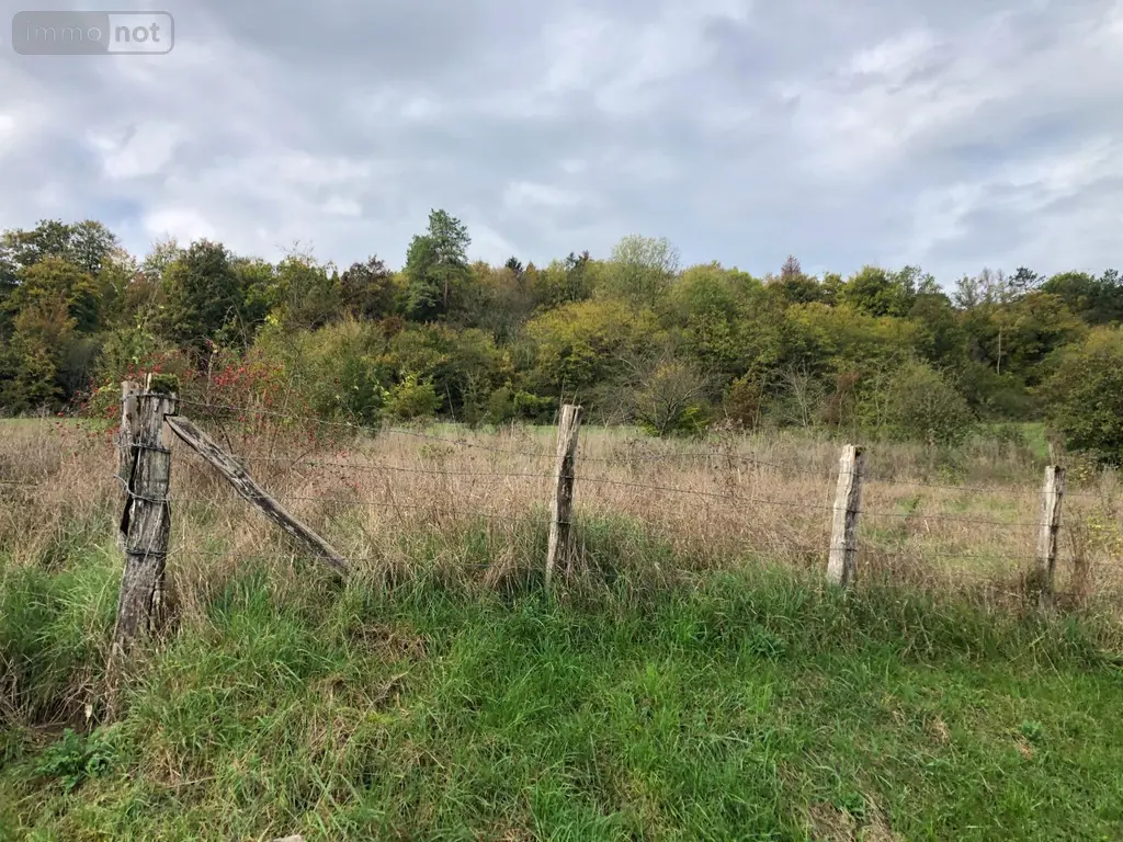 Terrain a batir a vendre Salmagne 55000 Meuse 55 14400 euros 816 004