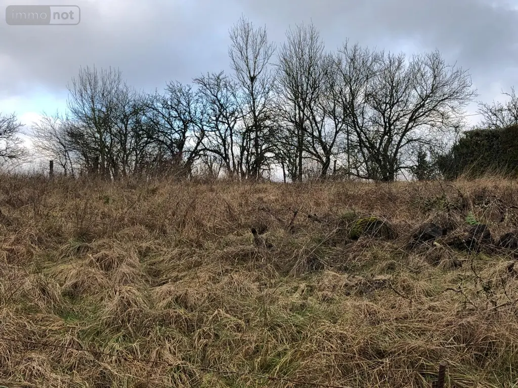 Terrain a batir a vendre Silmont 55000 Meuse 55 15000 euros 844 002