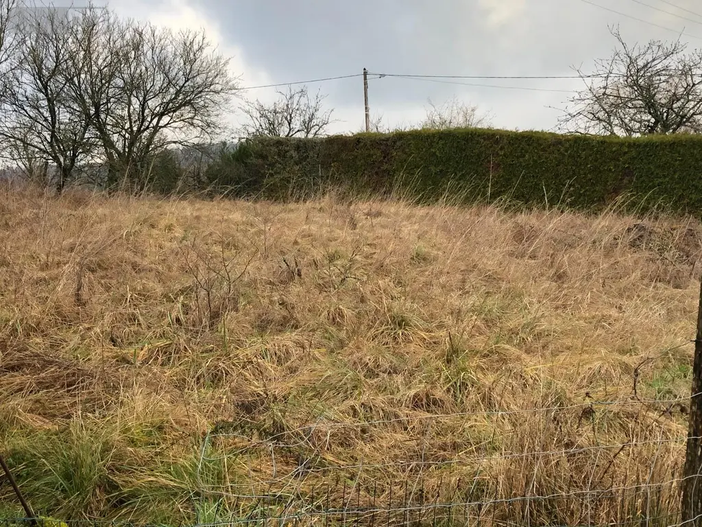 Terrain a batir a vendre Silmont 55000 Meuse 55 15000 euros 844 003