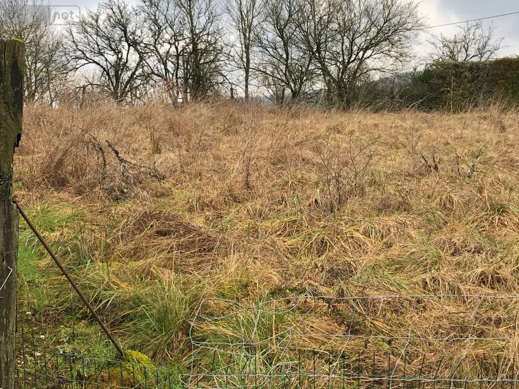 Terrain a batir a vendre Silmont 55000 Meuse 55 15000 euros 844 006