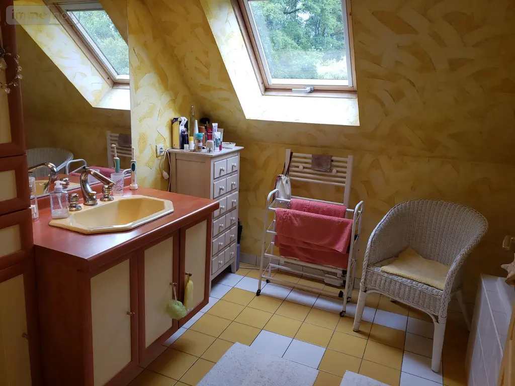 Maison a vendre Villefranche-sur-Cher 41200 Loir-et-Cher 41 151 m2 6 pièces 305660 euros 41036/2866 011