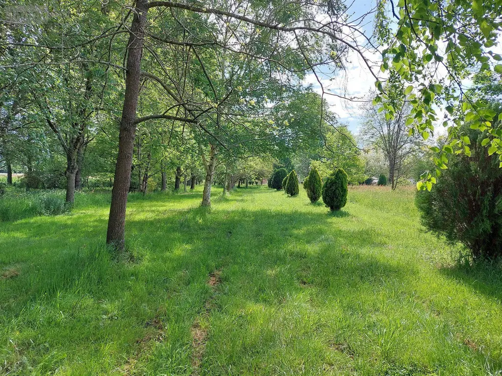 Maison a vendre Saint-Antoine-de-Breuilh 24230 Dordogne 24 180 m2 8 pièces 333100 euros 18113/62 021