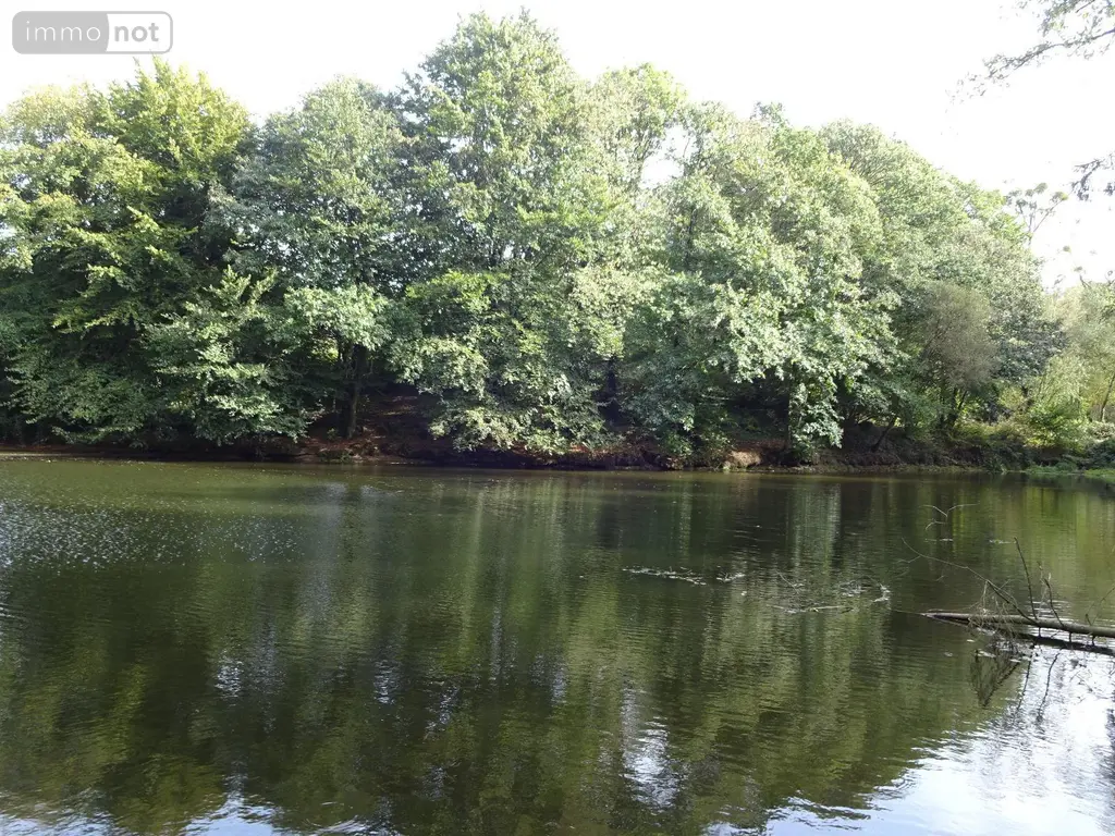 Terrains de loisirs bois etangs a vendre La Chapelle-Fleurigné 35133 Ille-et-Vilaine 35 62140 euros 036/731 002