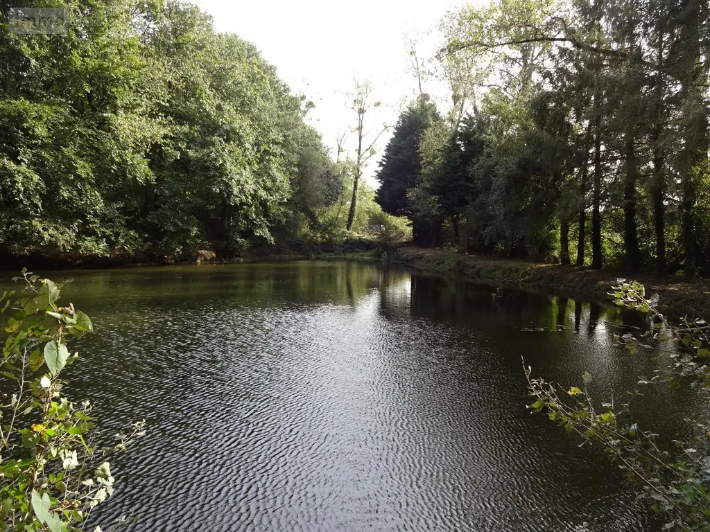 Terrains de loisirs bois etangs a vendre La Chapelle-Fleurigné 35133 Ille-et-Vilaine 35 62140 euros 036/731 003