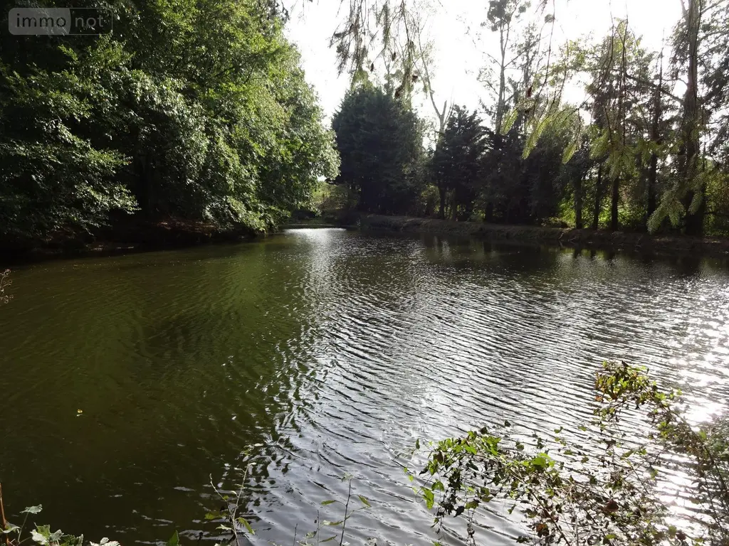 Terrains de loisirs bois etangs a vendre La Chapelle-Fleurigné 35133 Ille-et-Vilaine 35 62140 euros 036/731 004