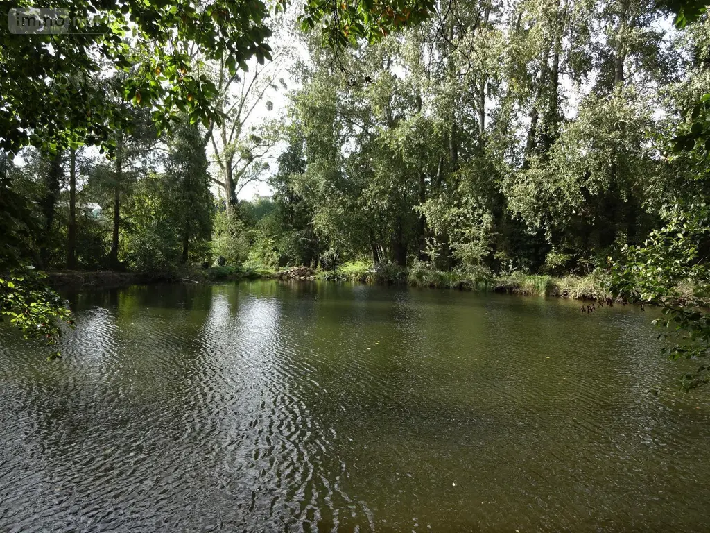 Terrains de loisirs bois etangs a vendre La Chapelle-Fleurigné 35133 Ille-et-Vilaine 35 62140 euros 036/731 005
