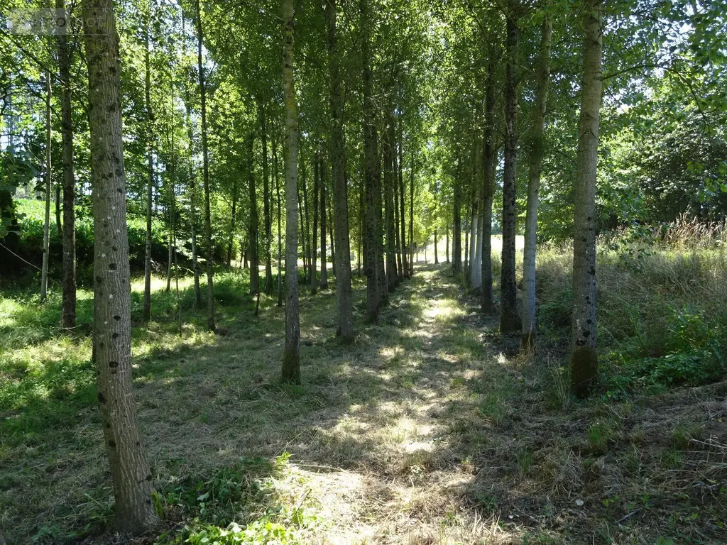 Terrains de loisirs bois etangs a vendre Poilley 35420 Ille-et-Vilaine 35 14840 euros 036/689 001