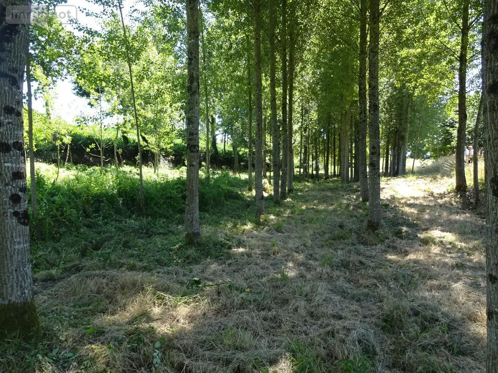 Terrains de loisirs bois etangs a vendre Poilley 35420 Ille-et-Vilaine 35 14840 euros 036/689 002