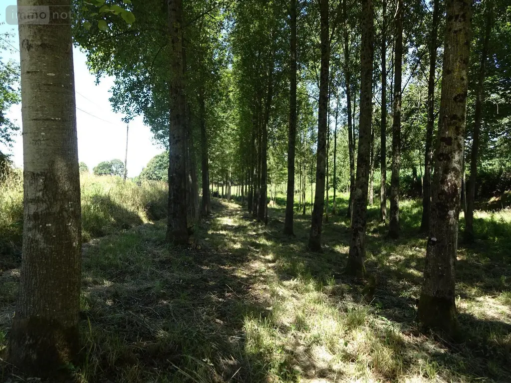 Terrains de loisirs bois etangs a vendre Poilley 35420 Ille-et-Vilaine 35 14840 euros 036/689 004