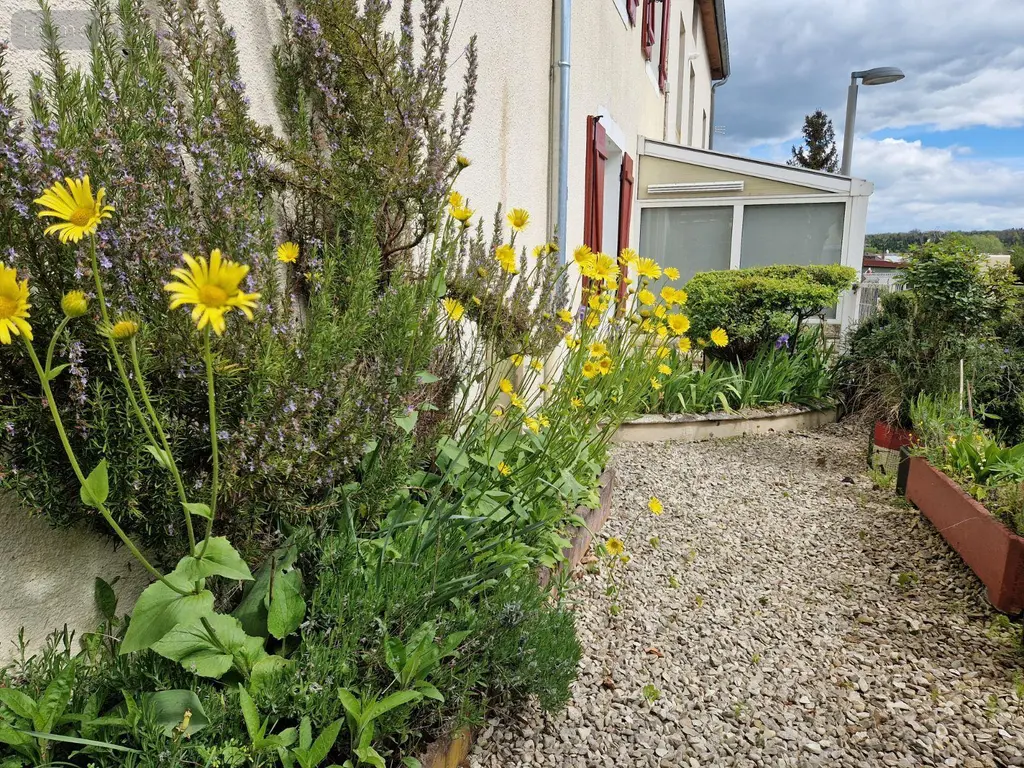 Maison a vendre Ville-sous-la-Ferté 10310 Aube 10 86 m2 4 pièces 70000 euros 10379/557 004