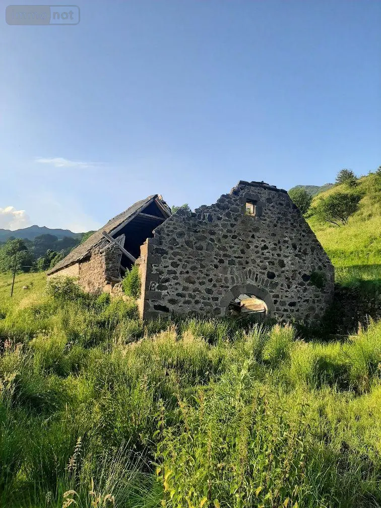Maison a vendre Le Falgoux 15380 Cantal 15 400 m2 63600 euros 15060/1153 002