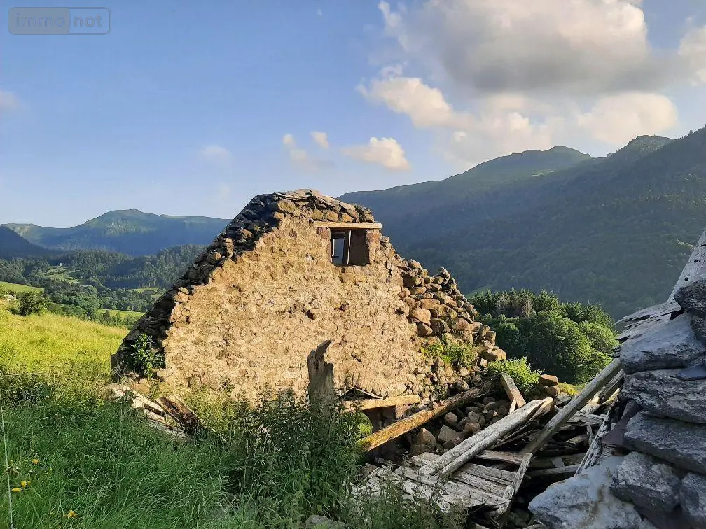 Maison a vendre Le Falgoux 15380 Cantal 15 400 m2 63600 euros 15060/1153 005