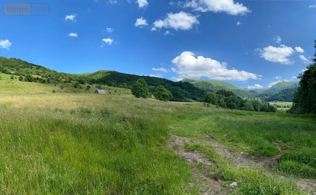Maison a vendre Le Falgoux 15380 Cantal 15 400 m2 63600 euros 15060/1153 006