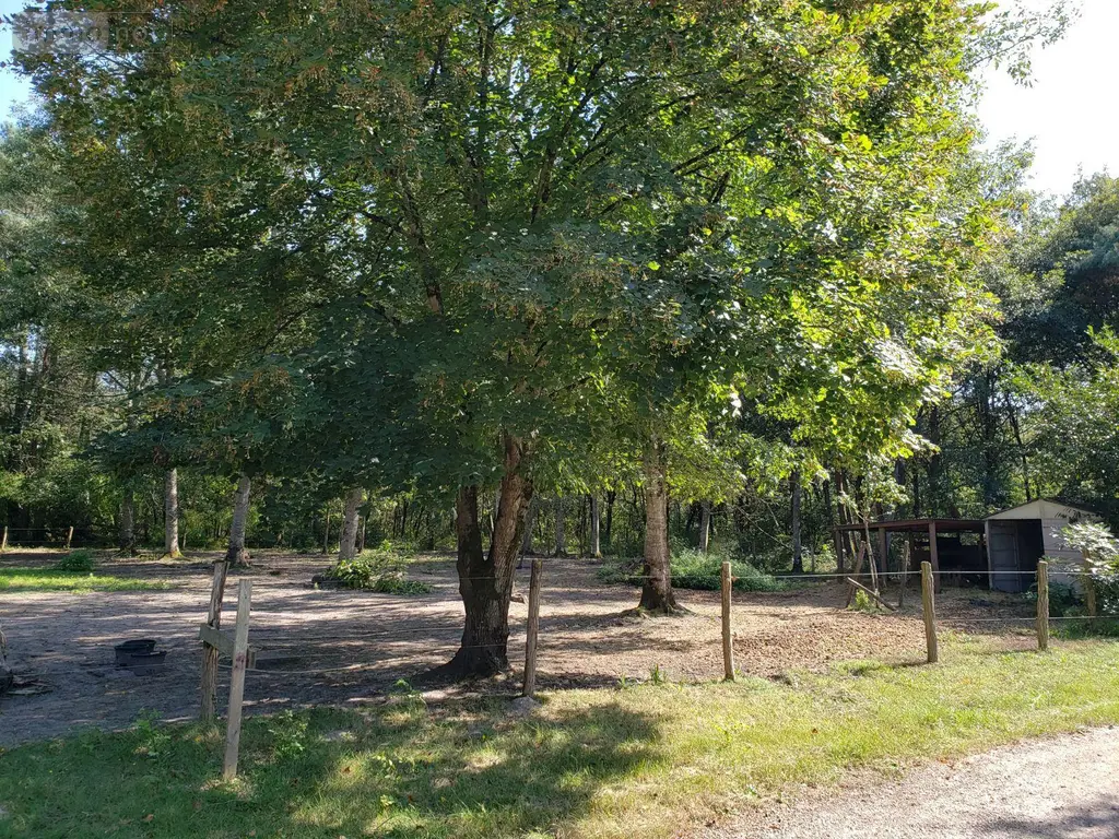 Maison a vendre Romorantin-Lanthenay 41200 Loir-et-Cher 41 123 m2 5 pièces 194990 euros 41036/2886 010