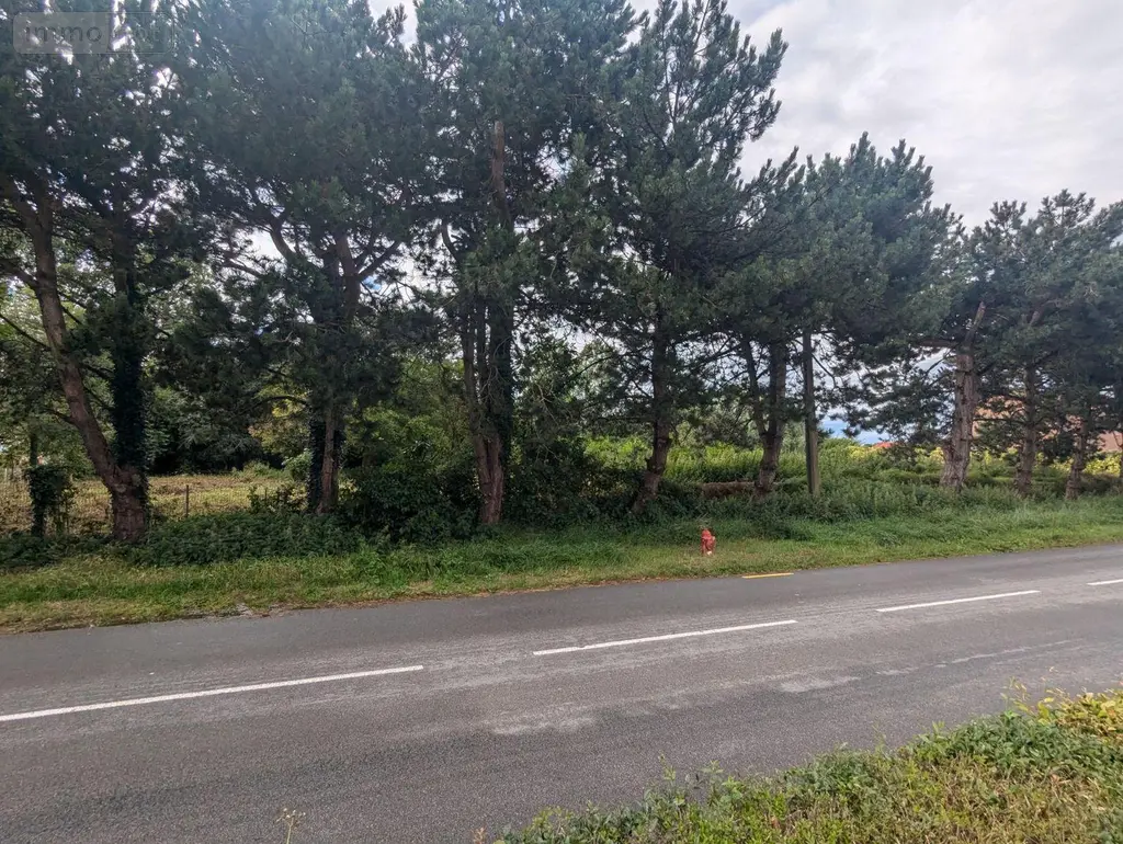 Terrain a batir a vendre Crochte 59380 Nord 59 90304 euros W3915 001