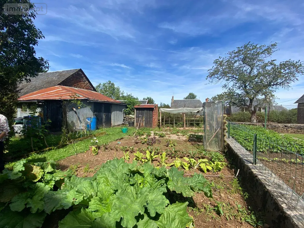 Maison a vendre Ally 15700 Cantal 15 100 m2 38600 euros 15060/1156 003