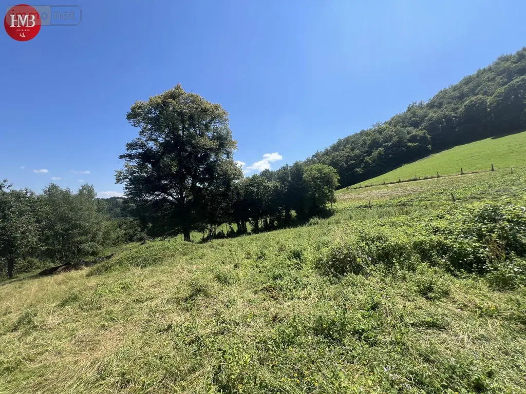 Terrain a batir a vendre Montsalvy 15120 Cantal 15 800 m2 28000 euros 10627/968 003